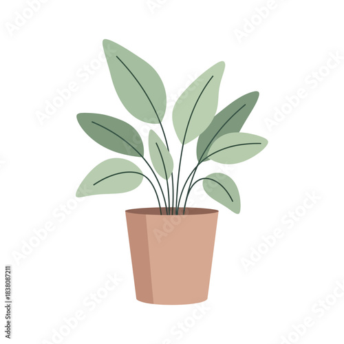 Simple botanical illustration: fresh green plant in earthen pot for home decor