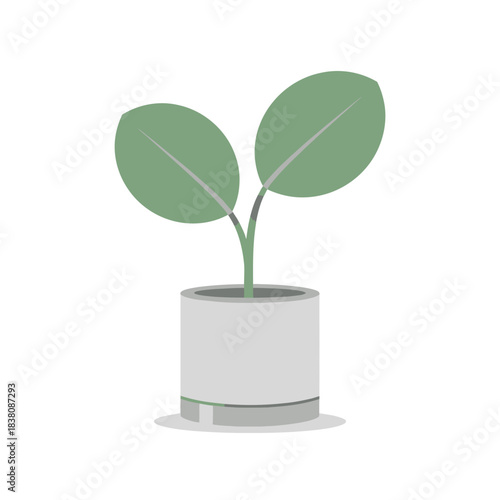 Stylized potted plant illustration conveying minimalistic elegance and simple home decor application