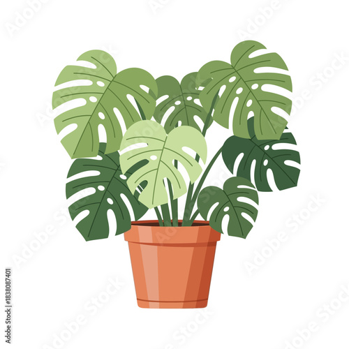 A refreshing monstera deliciosa illustration in a pot radiating botanical vibes and vibrancy