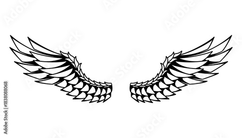 Wings sketch. Stylized birds wings. Hand drawn contoured stiker wing in open position. Vector design elements in coloring style