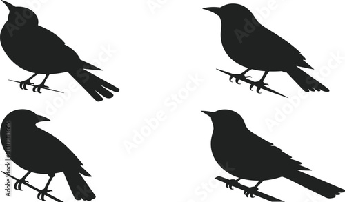 Hand Calculating Numbers on Digital Calculator, Illustrating Financial Accounting, Budget Planning, Mathematical Precision, and Business Data.