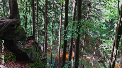 view from a mountain of a river flowing below through trees in a green forest. natural sound