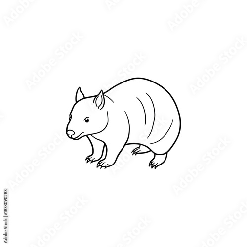 Charming line art illustration of a cute wombat in a simple clean design style
