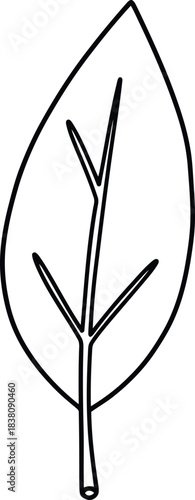 Simple outline drawing of a single oval leaf with veins