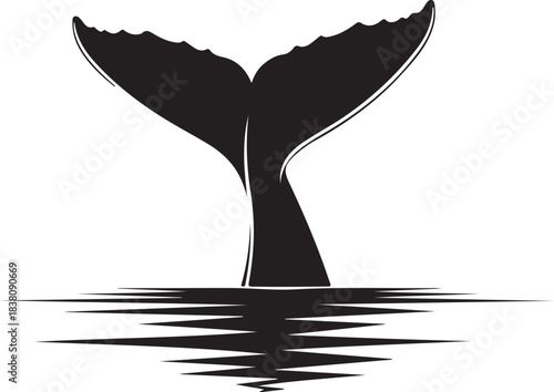 Black silhouette of a whale tail diving into rippling water on white background