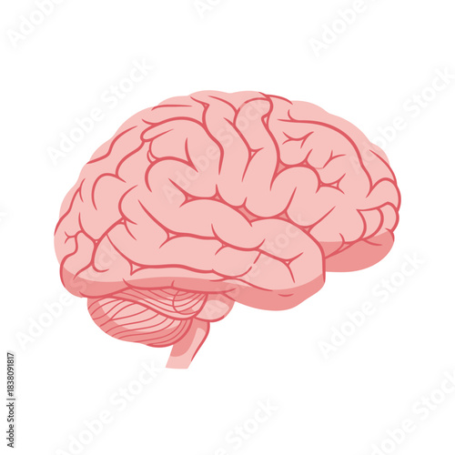 Creative mental prowess depiction human cerebrum graphic illustration concept design