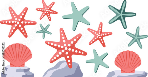 Colorful starfish and seashell illustration, coastal marine décor elements, beach ocean life graphic design, playful underwater nature clipart for creative projects