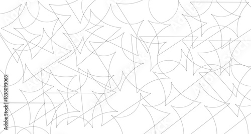 spider web on a white background