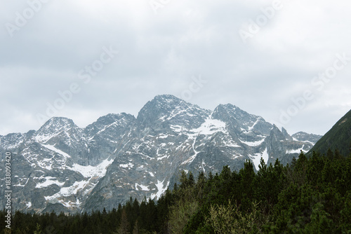 Fototapeta Naklejka Na Ścianę i Meble -  Tatras Mountains with snow , Zakopane Poland