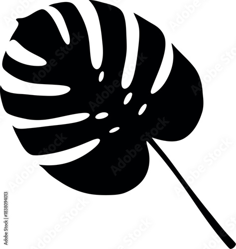 Monstera leaf silhouette with clean lines on white background