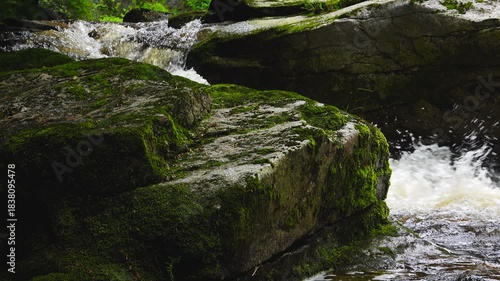 mountain stream flowing over green moss covered stones. natural sound