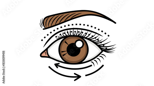 Close Up Of A Brown Eye With Long Lashes And A Thick Eyebrow Against A Solid Black Background With Detailed Iris And Pupil Illustration