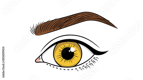 Close Up Of A Human Eye With Golden Iris And Brown Eyebrow Against A Black Background With White Eyeliner