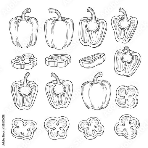 A detailed set of hand-drawn bell peppers in various forms including whole sliced and cross-section views.