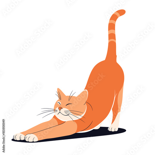 A cute ginger tabby cat doing a long and satisfying stretch with its front paws extended and back arched.