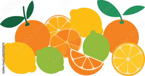 Colorful citrus fruit vector illustration featuring oranges, lemons, limes, slices, wedges, and fresh vibrant citrus arrangements.