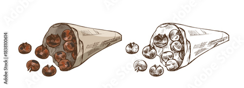 Hand drawn vintage sketch of roasted chestnuts in paper cone, color and monochrome version, isolated illustration