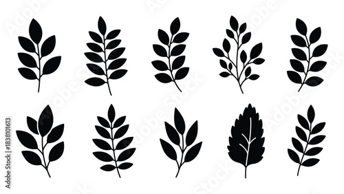 Black Silhouette Branches with Leaves Collection foliage