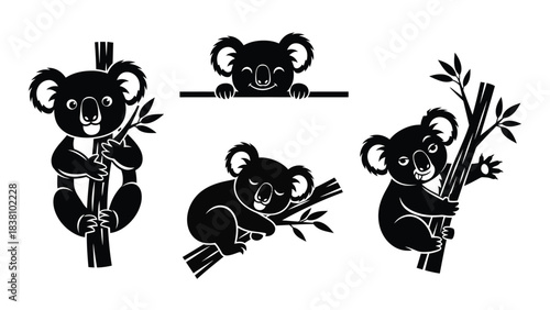 Black Silhouette Koala Poses on White Background black and white