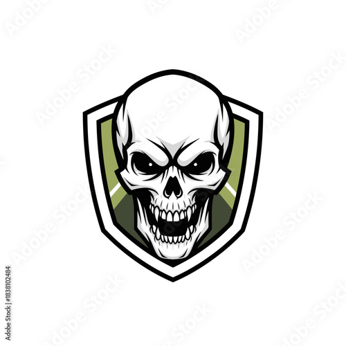 Skull emblem on shield, symbol of mortality and protection graphic design illustration