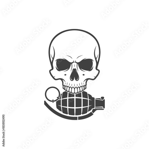 Skull and Grenade Illustration, Symbolizing Confrontation and the Transient Nature of Existence