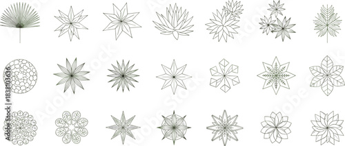 Top-View Tropical Foliage Collection: Agave, Palm, and Decorative Starburst Flowers Vector Icons for Architectural Landscape Design, CAD Drawing Elements, and Botanical Graphic Assets.