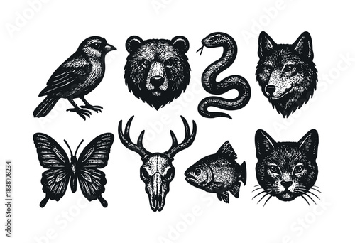 Wild animal engraved icons — bear, wolf, deer skull, and other forest creatures — stock vector.