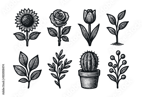 Flowers and plants engraved icons : sunflower, rose, and other botanical and floral illustrations — stock vector.