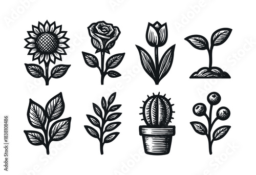 image.pngFlowers and plants engraved icons : sunflower, rose, and other botanical and floral illustrations — stock vector.