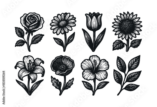 Flower engraved icons : rose, sunflower, and other beautiful botanical and floral illustrations — stock vector.
