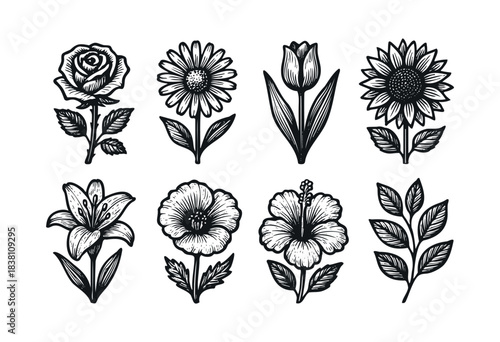 image.pngFlower engraved icons : rose, sunflower, and other beautiful botanical and floral illustrations — stock vector.