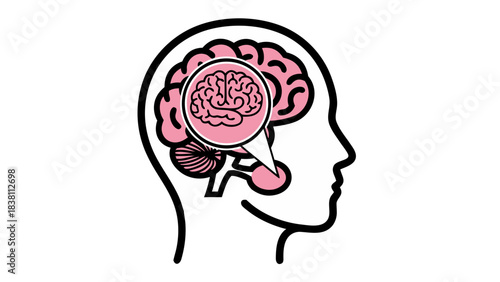Illustration of a Human Head Profile Silhouette Containing a Pink Brain Diagram with Magnified Section Focusing on Brain Anatomy Against a Solid Black Background