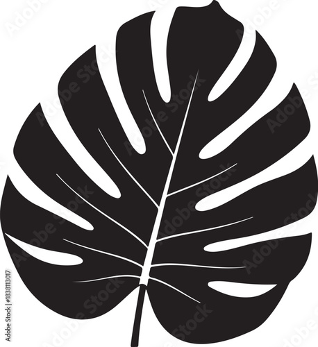 Black silhouette of a monstera leaf Keywords: monstera, leaf, plant, tropical, foliage, jungle