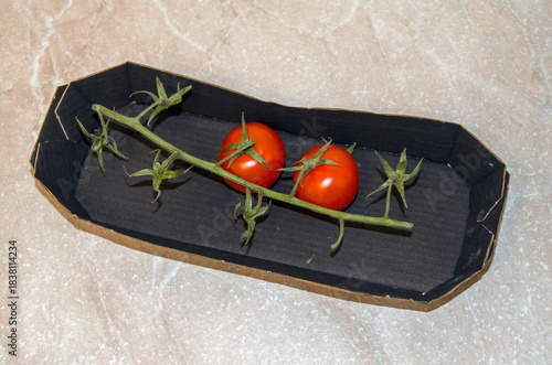 a box of tomato remnants
on a branch
