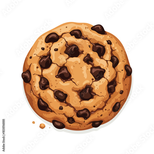 Delicious Chocolate Chip Cookie