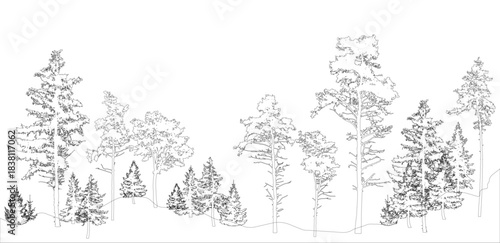 Contours of forest, different trees. Vector illustration