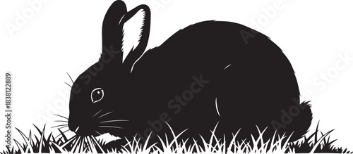 Black rabbit silhouette grazing in grass bunny hare