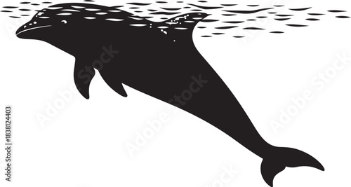 Silhouette of a dolphin swimming underwater with ripples