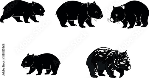 flavector wombat illustration set – 5 varied styles of Australian marsupial for nature graphics