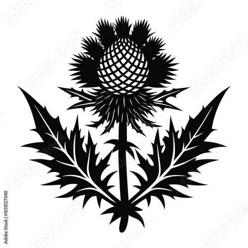 Thistle Silhouette Emblem