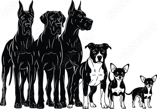 Diverse Group of Six Dog Breeds in a Line, Including Great Danes, Pitbull, and Chihuahuas, Representing Size, Variety, Companionship, and Domestic Pets, Vector Illustration.