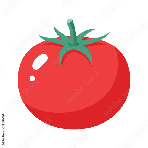 Fresh red tomato illustration