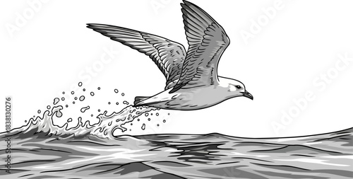 breaking the surface seabirds limitless freedom and dynamic escape, isolated on transparent background