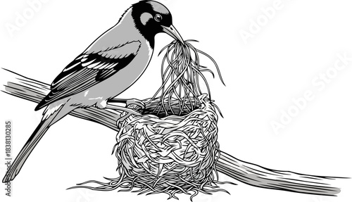 architect of tomorrow feathered builder crafts a future home, isolated on transparent background