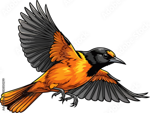 blaze of wings majestic oriole takes flight, embodying natures energetic grace, isolated on transparent background