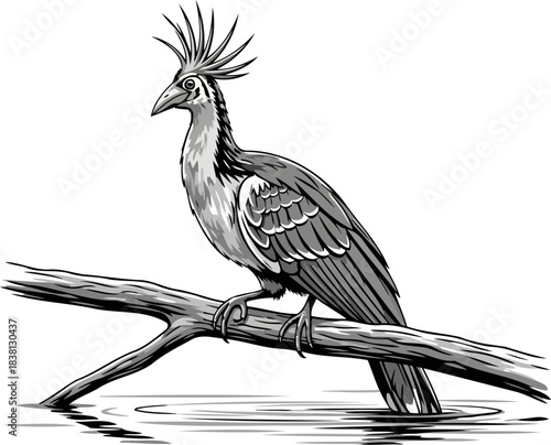 crested sovereign of the shallows a wild monarchs vigil reflected in water, isolated on transparent background