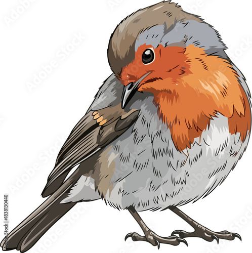 crimson breast, curious gaze a gardens heartfelt whisper of life, isolated on transparent background