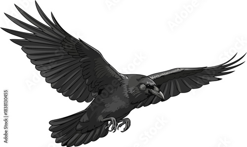 dark wings ascending a symbol of mystery and untamed wisdom, isolated on transparent background