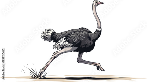 desert dynamo unbridled power and swift pursuit across vast horizons, isolated on transparent background