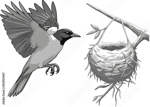 echoes of arrival monochromatic art of a birds journey to its awaited sanctuary, isolated on transparent background